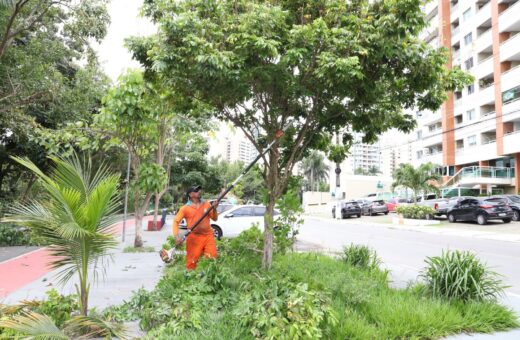 Serviço de poda de árvores é ofertado gratuitamente para população - Foto: Valdo Leão/Semulsp