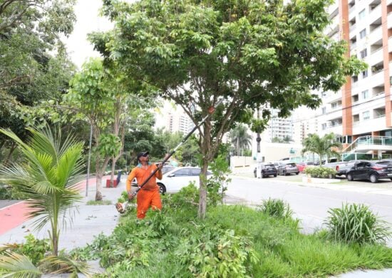 Serviço de poda de árvores é ofertado gratuitamente para população - Foto: Valdo Leão/Semulsp