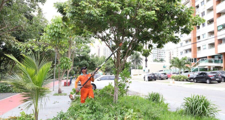 Serviço de poda de árvores é ofertado gratuitamente para população - Foto: Valdo Leão/Semulsp