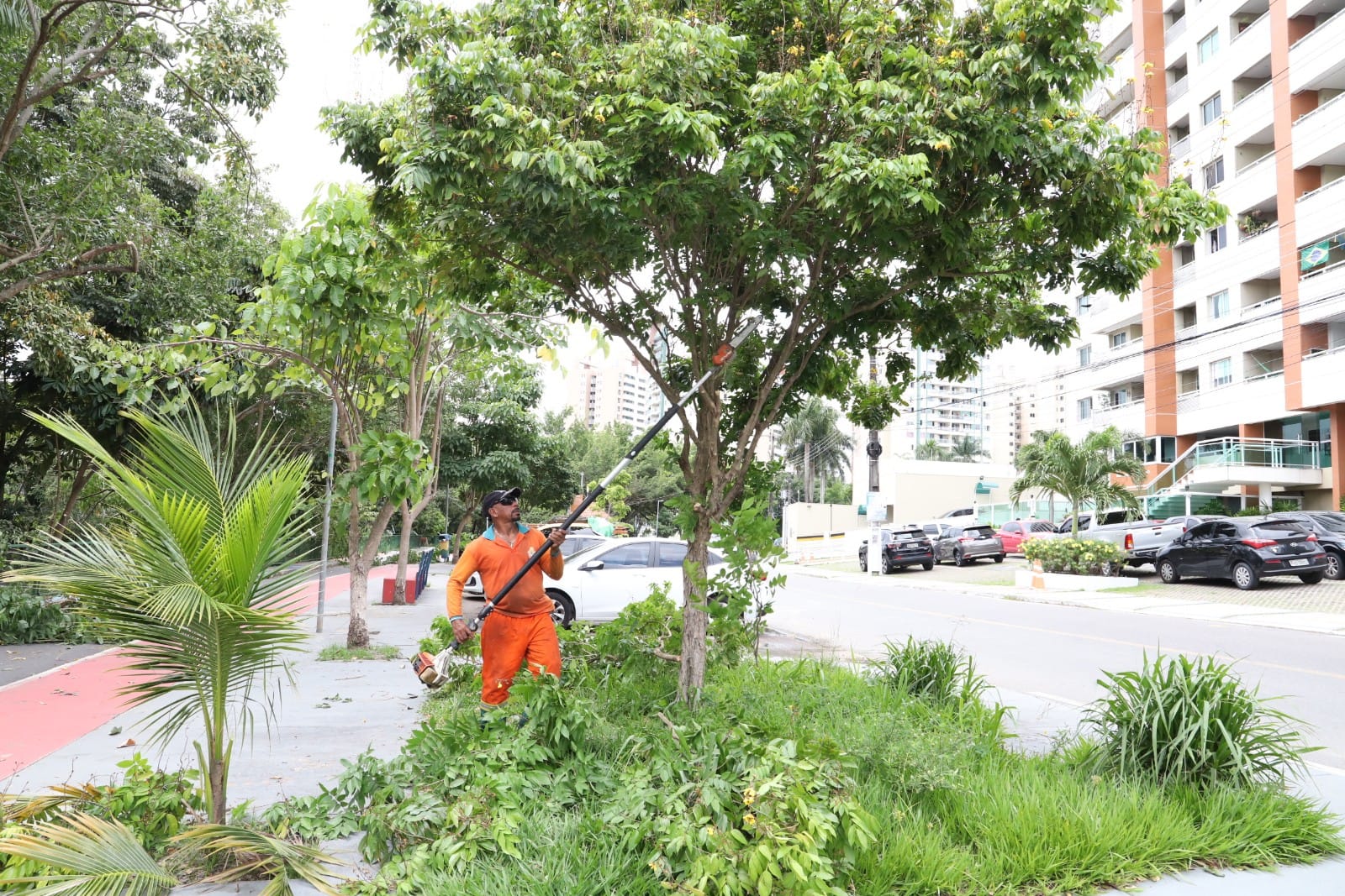 Serviço de poda de árvores é ofertado gratuitamente para população - Foto: Valdo Leão/Semulsp
