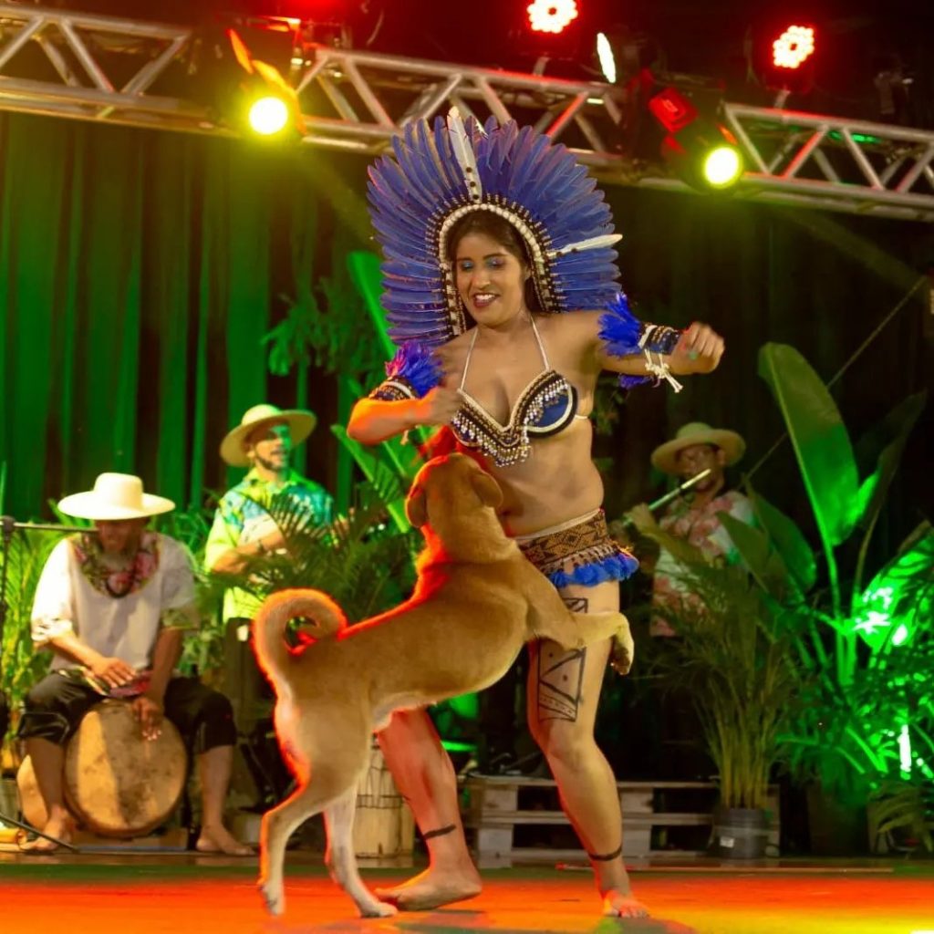 Vira-lata acompanhou dançarina no ritmo boi bumbá - Foto: Reprodução/Instagram @cintia_kateuscia