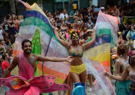 Desfile de blocos de rua no Carnaval do Rio - Foto: Fernando Frazão/Agência Brasil