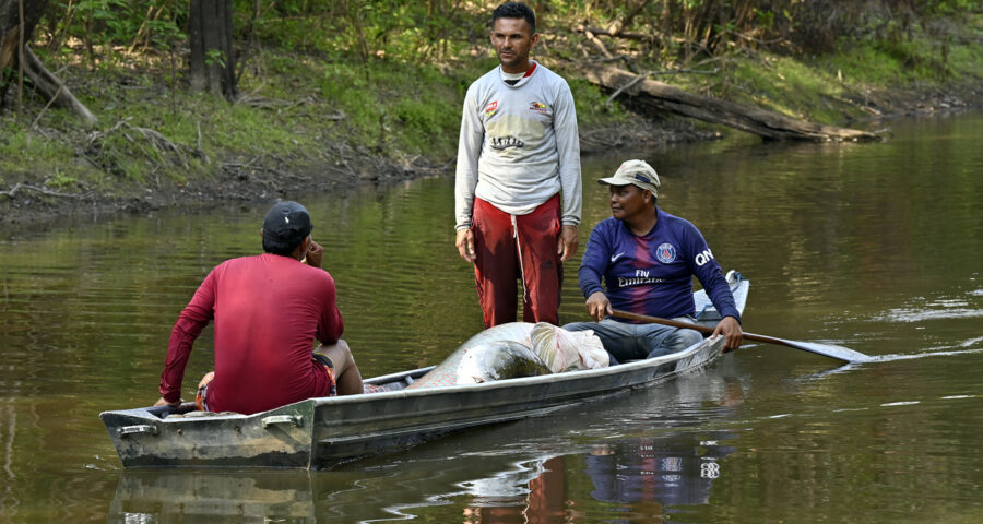 pesca-sustentável-dos-Paumari-Foto-Adriano-Gambarini-OPAN