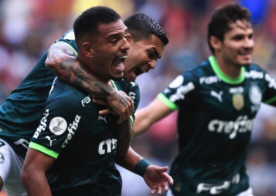 Palmeiras aumenta vantagem para o Flamengo como maior vencedor de títulos nacionais - Foto: Ettore Chiereguini/AGIF-Agência de Fotografia/Estadão Conteúdo.