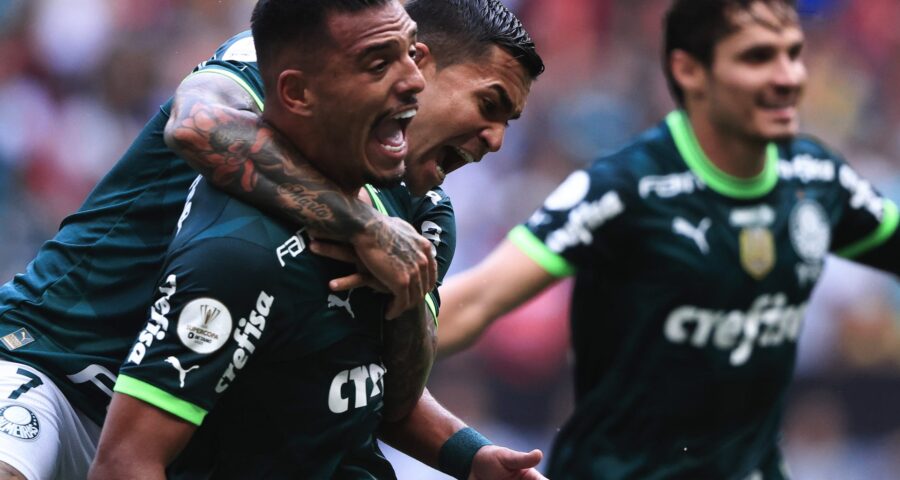 Palmeiras aumenta vantagem para o Flamengo como maior vencedor de títulos nacionais - Foto: Ettore Chiereguini/AGIF-Agência de Fotografia/Estadão Conteúdo.