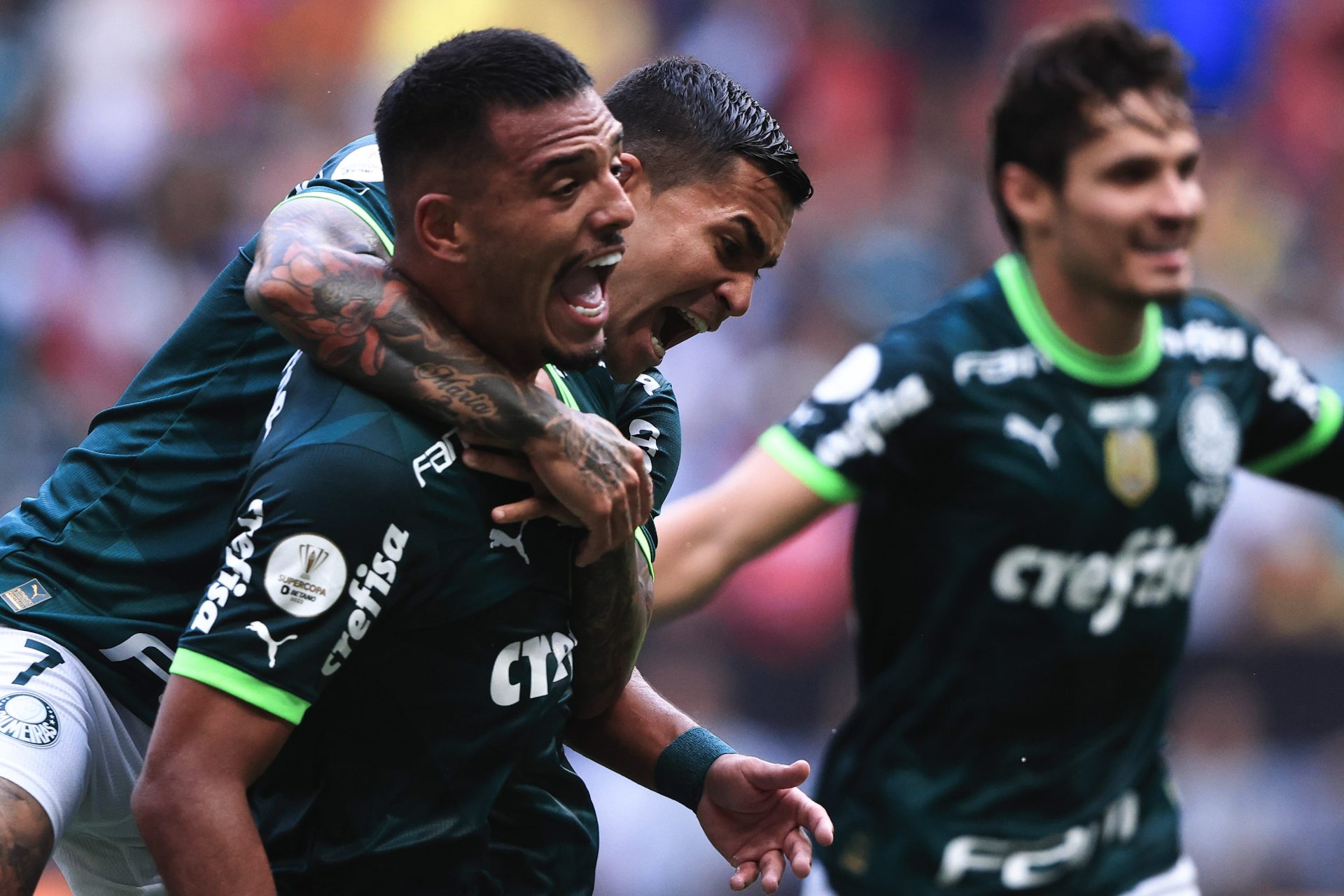 Palmeiras aumenta vantagem para o Flamengo como maior vencedor de títulos nacionais - Foto: Ettore Chiereguini/AGIF-Agência de Fotografia/Estadão Conteúdo.