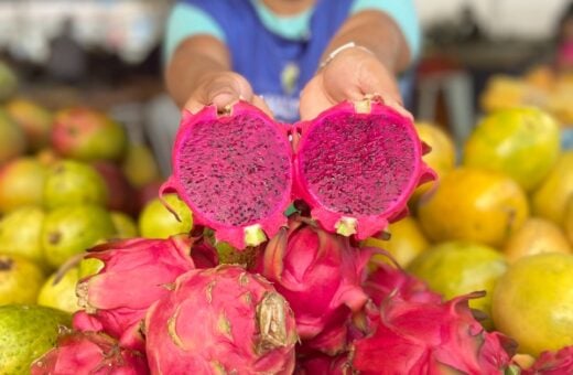 Pitaia é uma das frutas exóticas vendidas nas feiras da ADS - Foto: Ruth Jucá e Mônica Figueiredo / Divulgação ADS