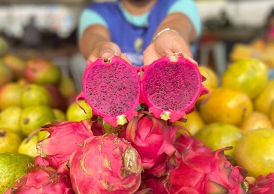 Pitaia é uma das frutas exóticas vendidas nas feiras da ADS - Foto: Ruth Jucá e Mônica Figueiredo / Divulgação ADS