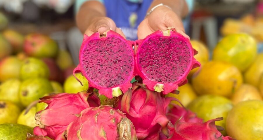 Pitaia é uma das frutas exóticas vendidas nas feiras da ADS - Foto: Ruth Jucá e Mônica Figueiredo / Divulgação ADS