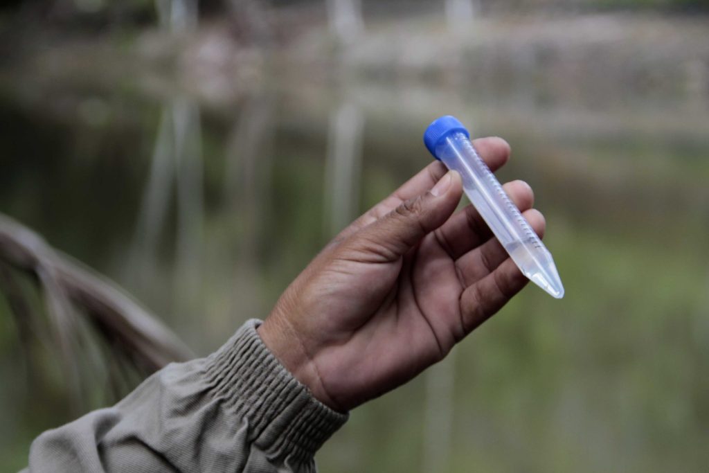 Malária Monitoramento e eliminação de criadouros de mosquitos - Foto: Altemar Alcantara/ Semcom