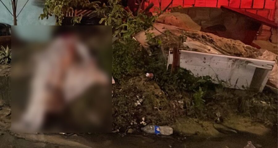 Homem morto a tiros na Zona Norte de Manaus - Foto: Reprodução| Whatsapp