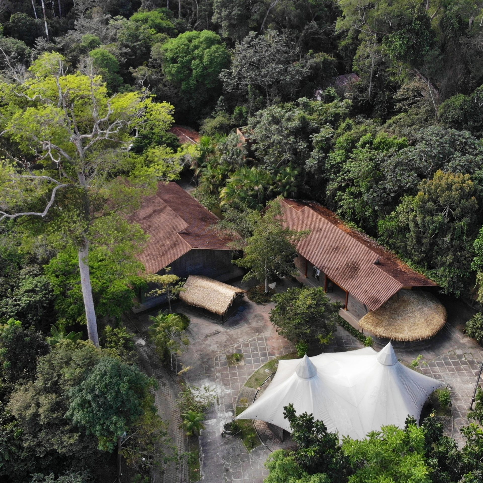 Imagem aérea do Museu da Amazônia (Musa) em Manaus - Foto: Reprodução/Facebook@museudaamazonia
