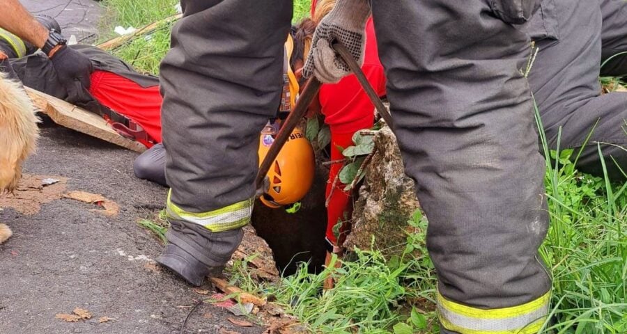 Bombeiros resgatam cão dentro de bueiro na Zona Centro-Oeste de Manaus - Foto: Divulgação/CBMAM Bueiro