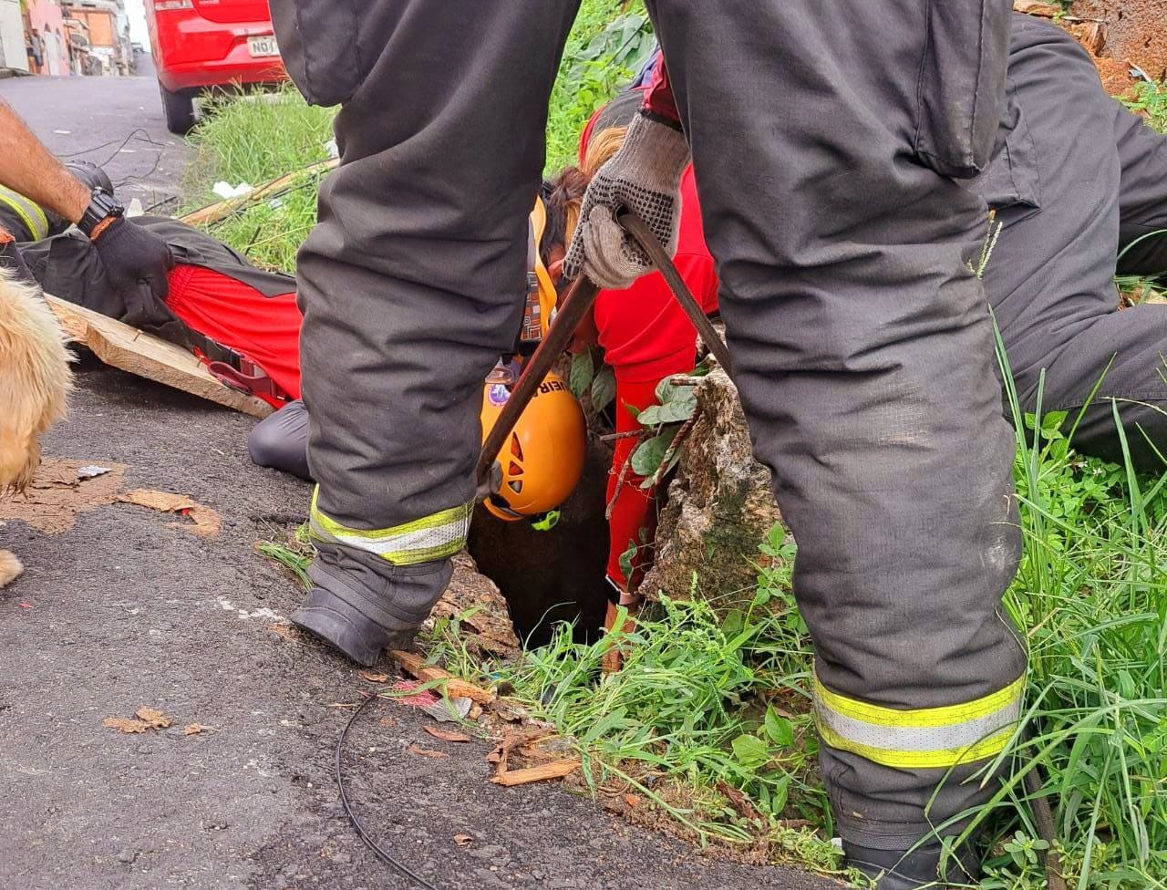 Bombeiros resgatam cão dentro de bueiro na Zona Centro-Oeste de Manaus - Foto: Divulgação/CBMAM Bueiro