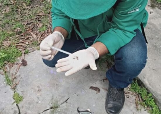 Eliminação dos criadouros do mosquito transmissor da dengue é a melhor forma de prevenção - Foto Divulgação/FVS-RCP