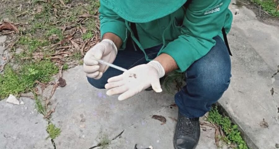 Eliminação dos criadouros do mosquito transmissor da dengue é a melhor forma de prevenção - Foto Divulgação/FVS-RCP