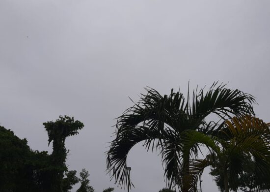 Previsão do tempo manaus