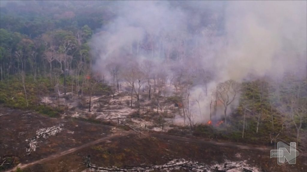 Desmatamento na Amazônia bate recorde entre janeiro a dezembro de 2022