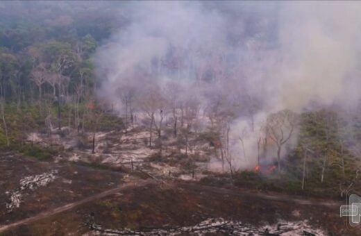 Desmatamento na Amazônia bate recorde entre janeiro a dezembro de 2022