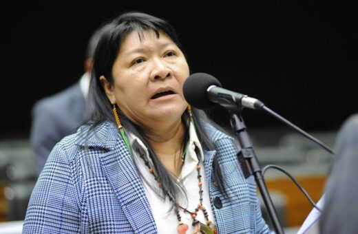 Joenia Wapichana é deputada federal de Roraima - Foto: Billy Boss/Câmara dos Deputados