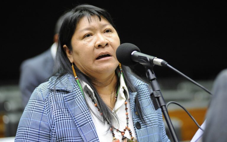 Joenia Wapichana é deputada federal de Roraima - Foto: Billy Boss/Câmara dos Deputados