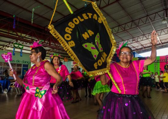 Programação carnavalesca ocorrerá durante 5 dias em locais distintos - Foto: Arquivo/Seas