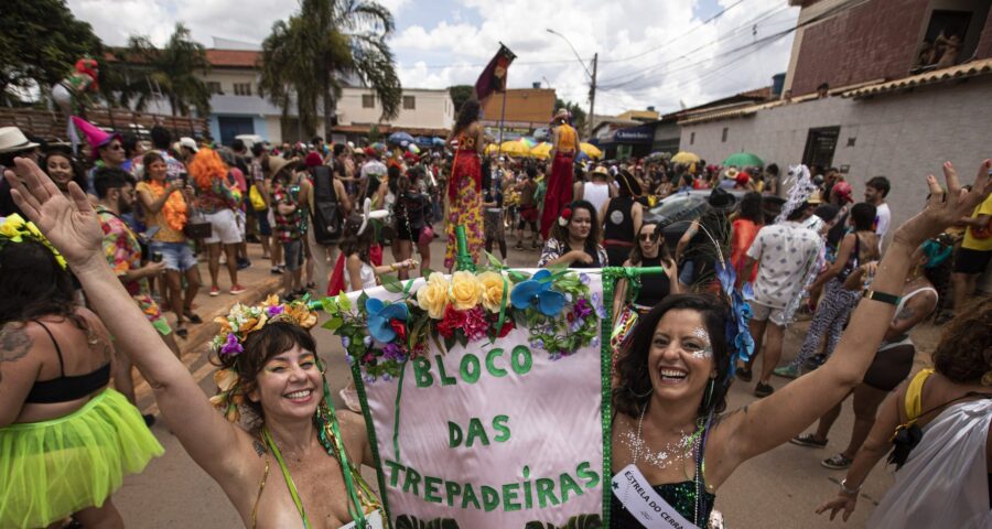 Carnaval em Brasília: Bloco das Trepadeiras estreia na capital federal Foto: Joédson Alves/Agência Brasil