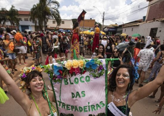 Carnaval em Brasília: Bloco das Trepadeiras estreia na capital federal Foto: Joédson Alves/Agência Brasil