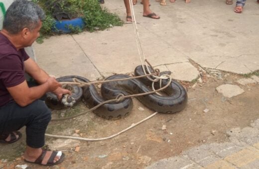 Vídeo: cobra de 2 metros é amarrada e arrastada por moradores no Pará