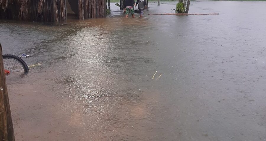 Comunidade Indígena do Rio Silveira, entre Bertioga e S. Sebastião fica alagada com chuva no Estado de São Paulo - Foto: Reprodução/Twitter@raulchristiano