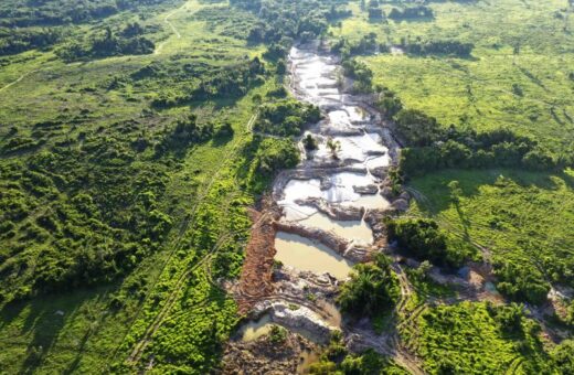 Pará é um Estado em que 70% de sua área territorial é de jurisdição da União - Foto: Divulgação/ASCOM/SEMAS