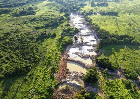 Pará é um Estado em que 70% de sua área territorial é de jurisdição da União - Foto: Divulgação/ASCOM/SEMAS