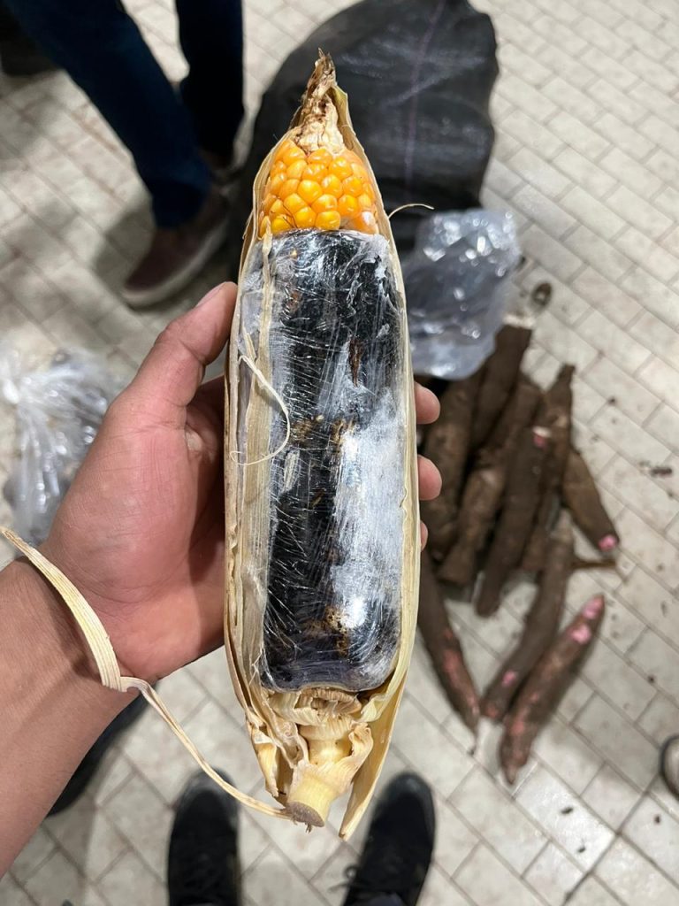 Parte da espiga de milho era usada para disfarçar conteúdo interno - Foto: Divulgação/PF