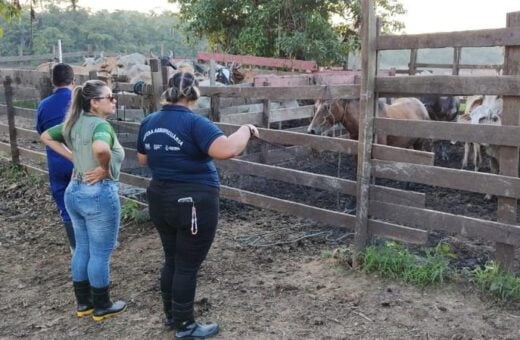 Raiva dos herbívoro: Autazes, Careiro e Tefé são obrigados a vacinar animais