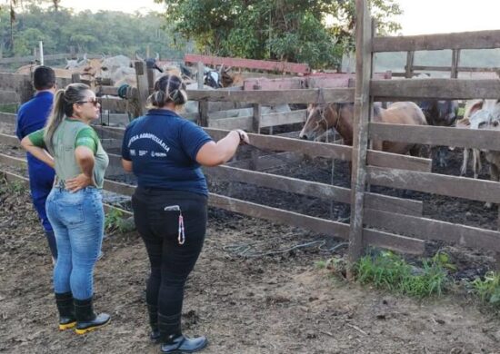 Raiva dos herbívoro: Autazes, Careiro e Tefé são obrigados a vacinar animais