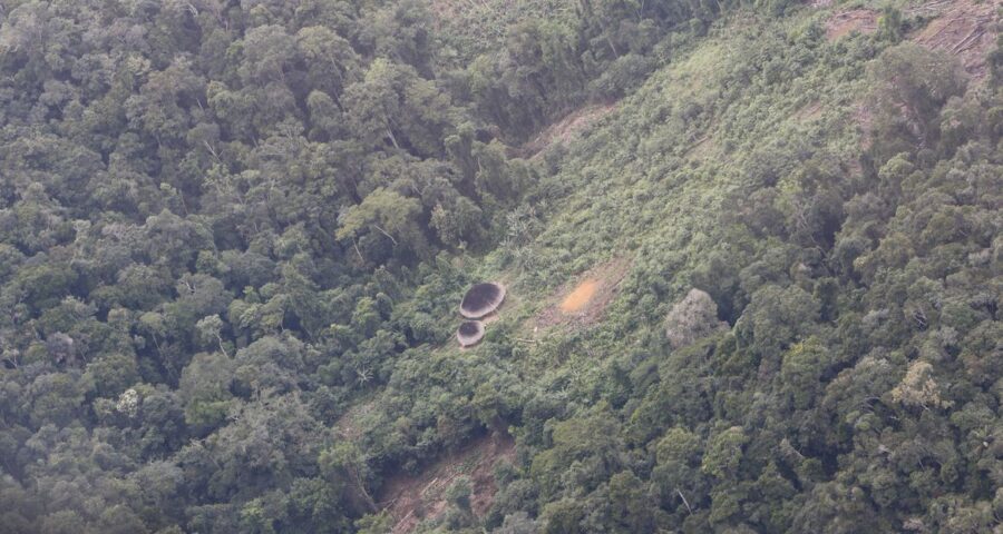 Segundo comissão, 800 garimpeiros ainda estão nas terras Yanomami - Foto: Fernando Frazão/Agência Brasil