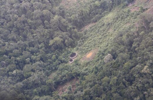 Segundo comissão, 800 garimpeiros ainda estão nas terras Yanomami - Foto: Fernando Frazão/Agência Brasil