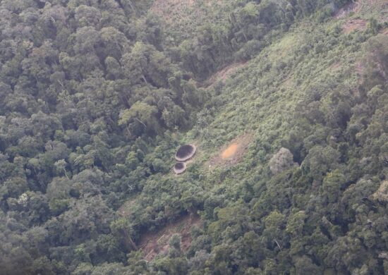 Segundo comissão, 800 garimpeiros ainda estão nas terras Yanomami - Foto: Fernando Frazão/Agência Brasil