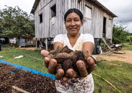 Mulheres na produção extrativista da Terra Indígena Igarapé Lourdes - Foto: Divulgação/Ana Catarina