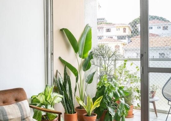 Decoração de casa com plantas - Foto: Reprodução/Pinterest/Histórias de casa