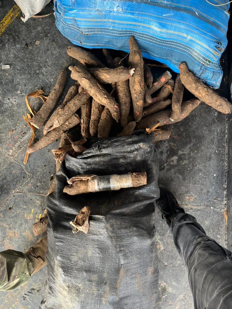 Cascas de mandioca eram usadas para encobrir droga - Foto: Divulgação/PF