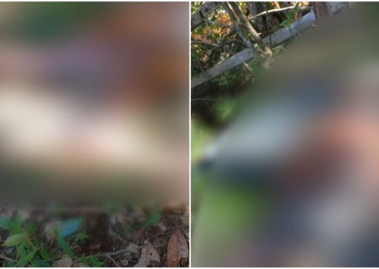 Corpo em decomposição é encontrado em ramal do município de Iranduba-AM