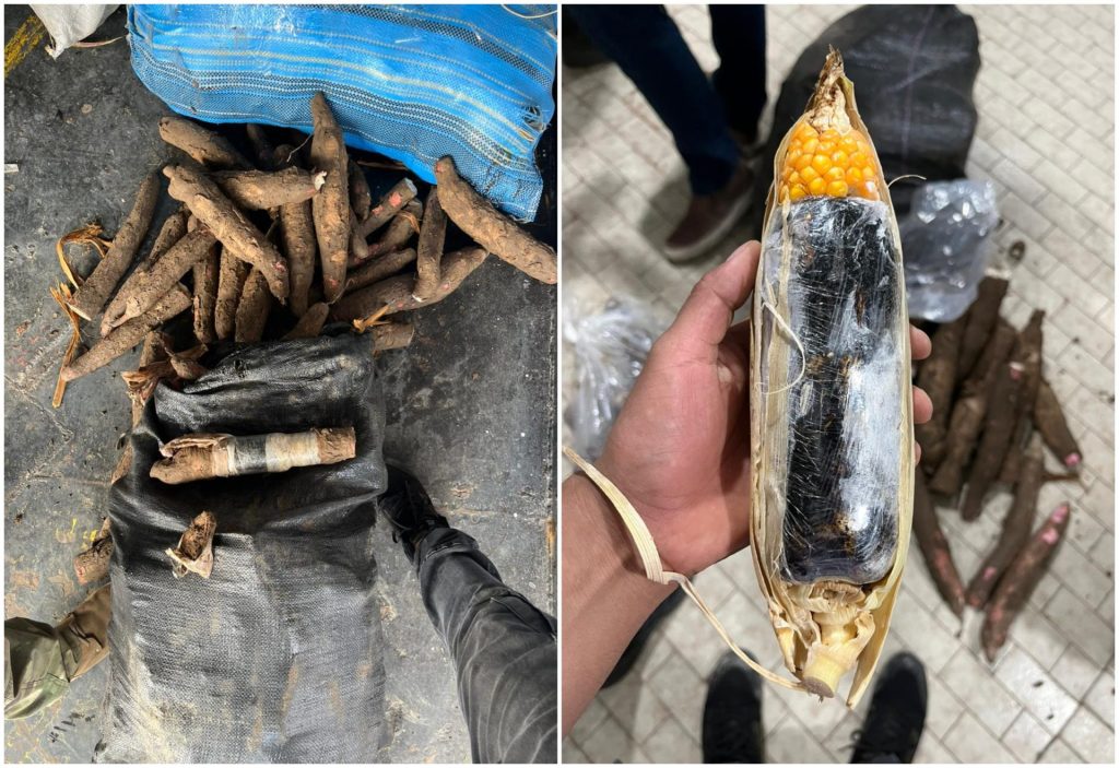 Droga era encoberta por cascas de mandioca e milho - Foto: Divulgação/PF