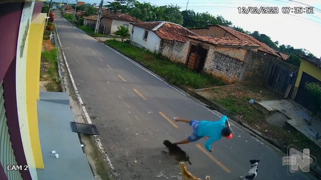 VÍDEO: homem é atropelado por cães em Parintins, no interior do Amazonas