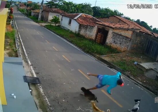 VÍDEO: homem é atropelado por cães em Parintins, no interior do Amazonas