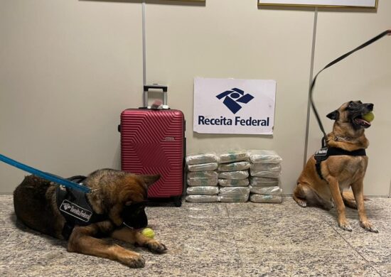 Apreensão de drogas no Aeroporto Internacional de Manaus - Foto: Divulgação/Receita Federal