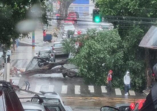 Chuva provoca queda de árvore, erosão e deslizamento de terra em Manaus - Foto: Reprodução/Whatsapp