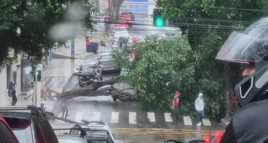 Chuva provoca queda de árvore, erosão e deslizamento de terra em Manaus - Foto: Reprodução/Whatsapp