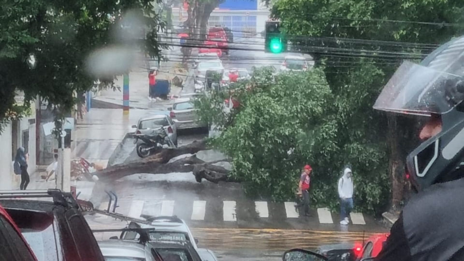 Chuva provoca queda de árvore, erosão e deslizamento de terra em Manaus - Foto: Reprodução/Whatsapp