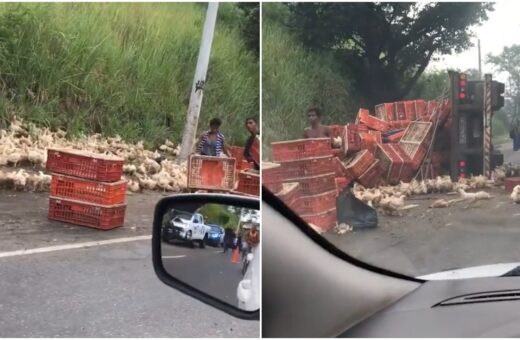 Caminhão com galinhas tomba e carga vira almoço de moradores no RJ - Foto: Reprodução/Twitter@o_verdoso